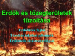 Befektetési lehetőség